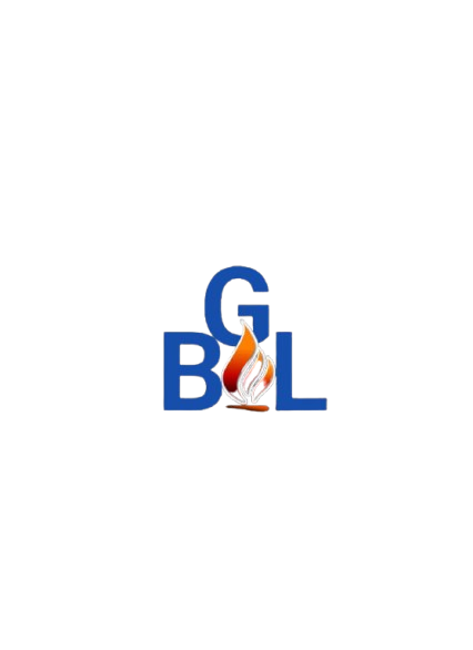 BONA OIL AND GAS LIMITED