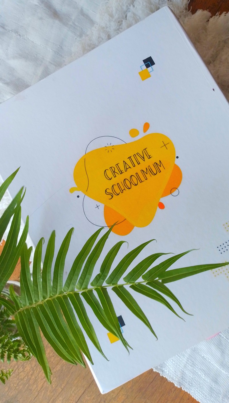 Csmcurriculums