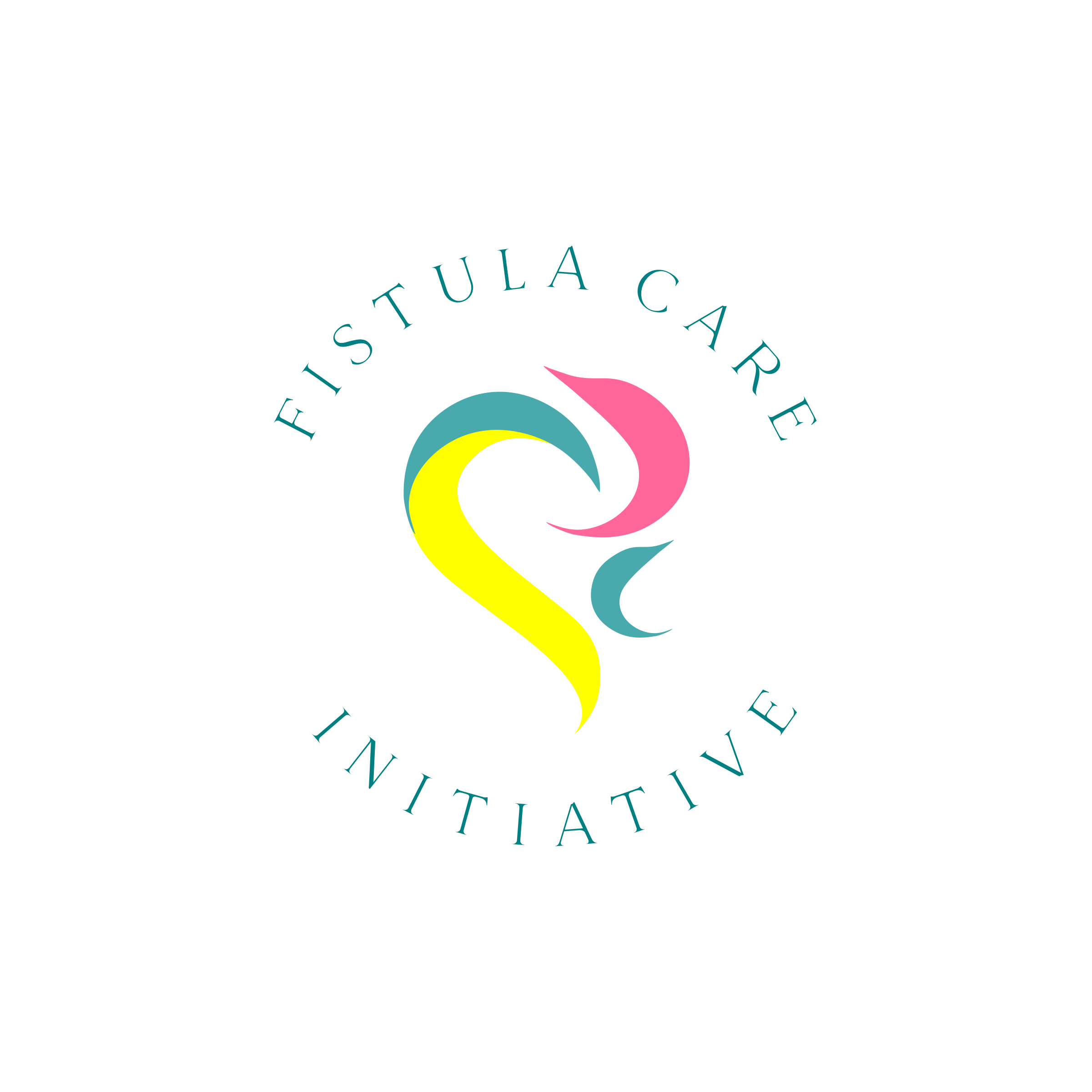 Fistula Care Initiative