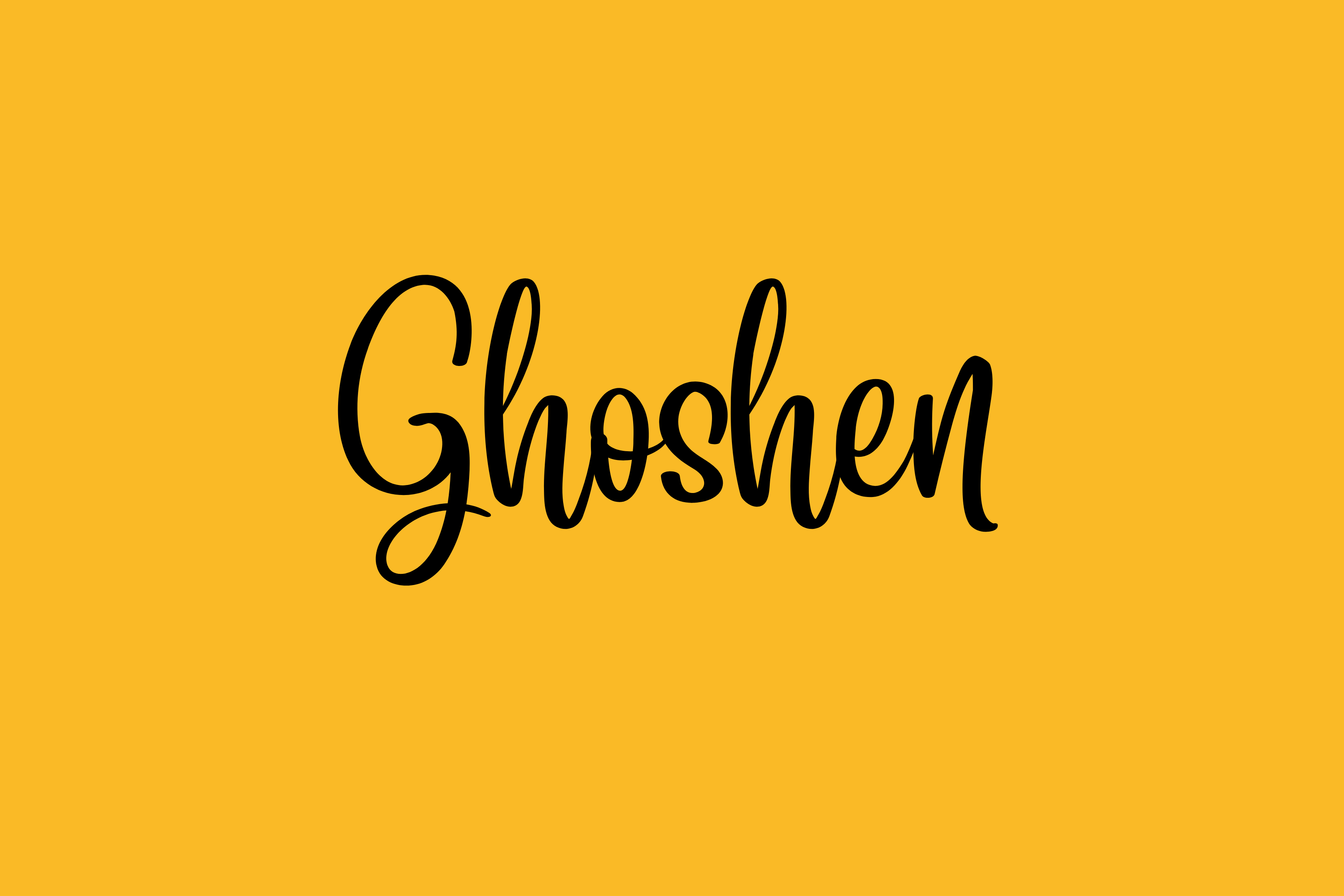 Goshen Library