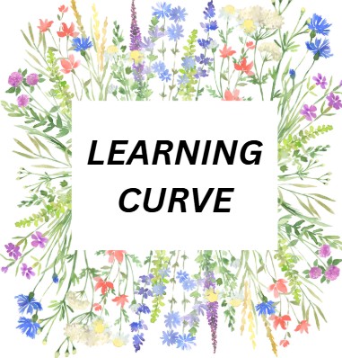 Learning  Curve