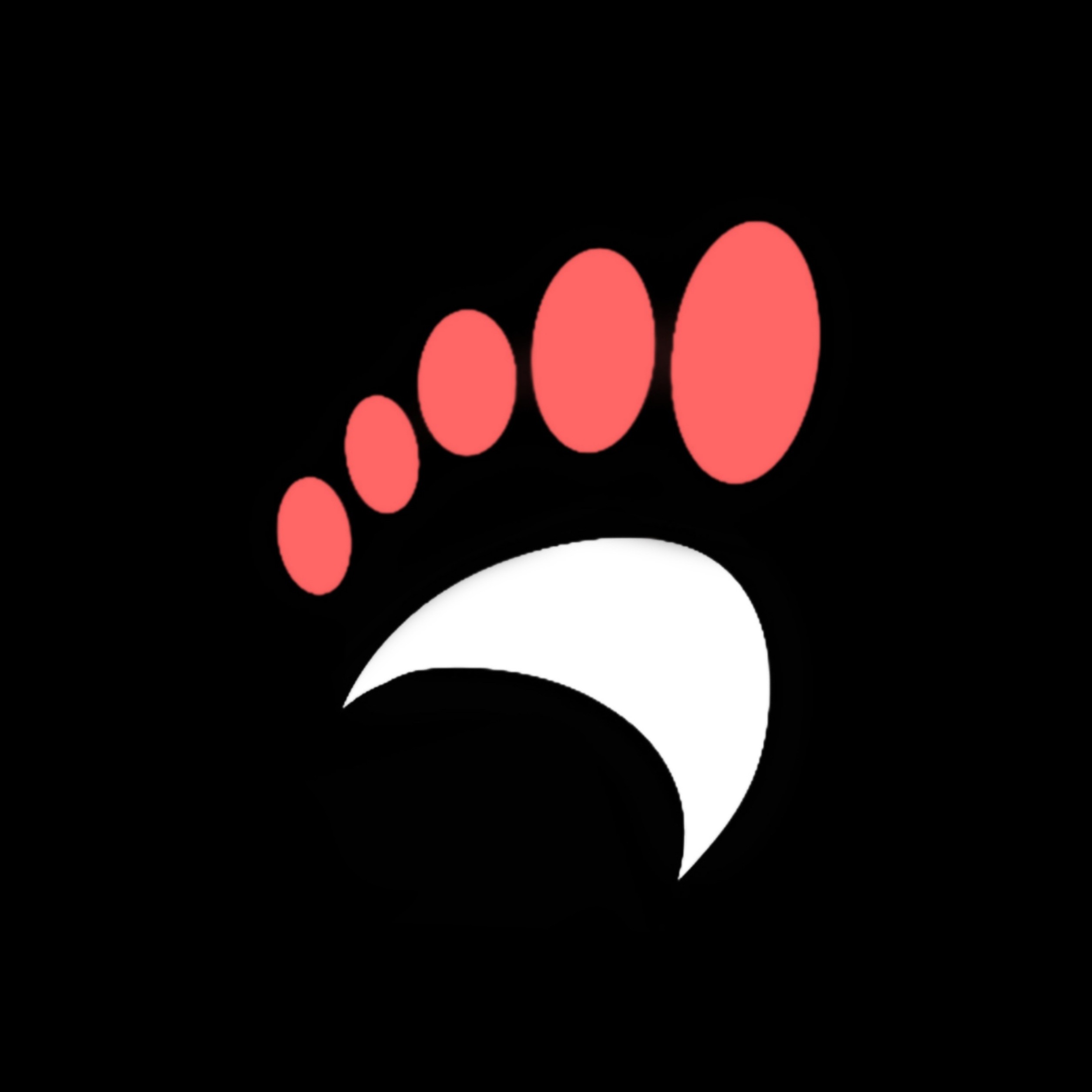 SlideFit Shoes
