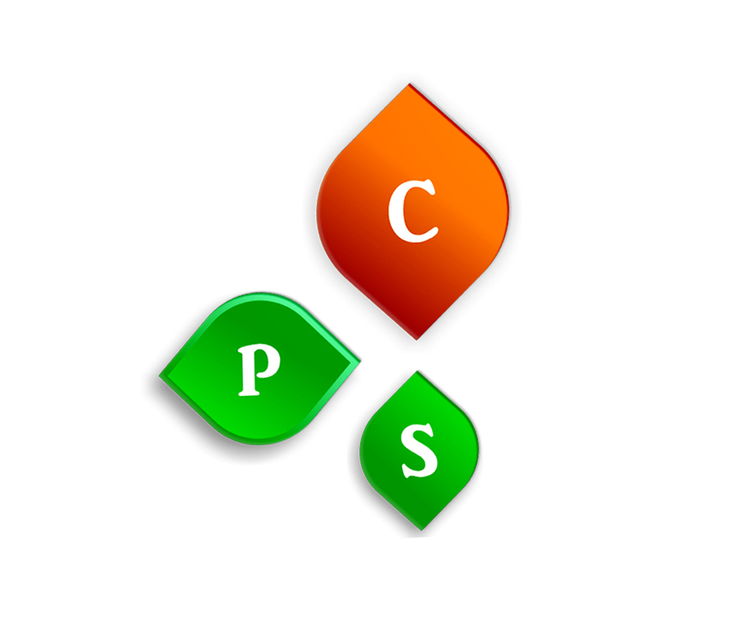 Consults Platform Professional Services