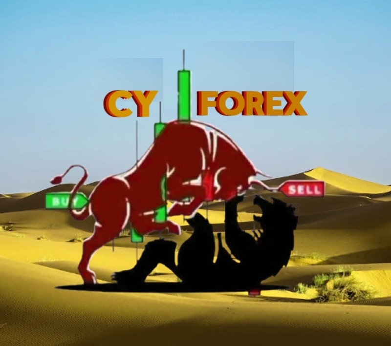 CY FOREX