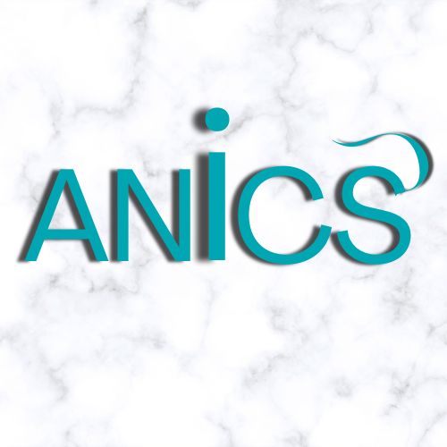ANICS Digital