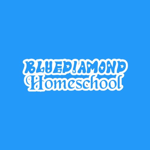 BLUEDIAMOND HOMESCHOOL DIGITAL PARENTING TOOLKIT HUB