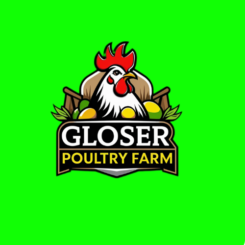 Gloser Poultry
