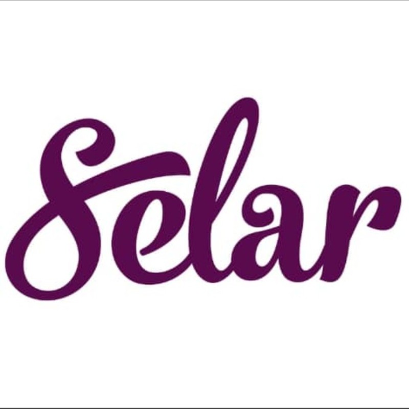 SELAR ONLINE EARNING HUB
