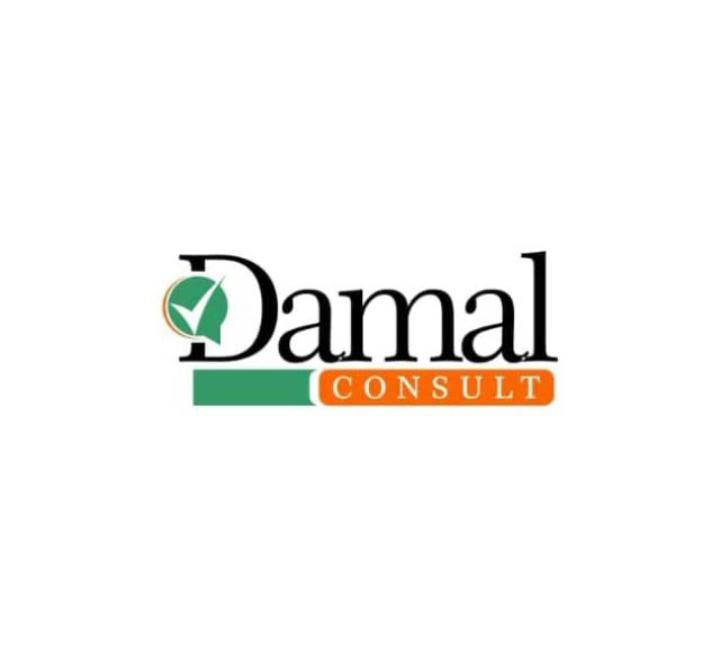 DamalConsult