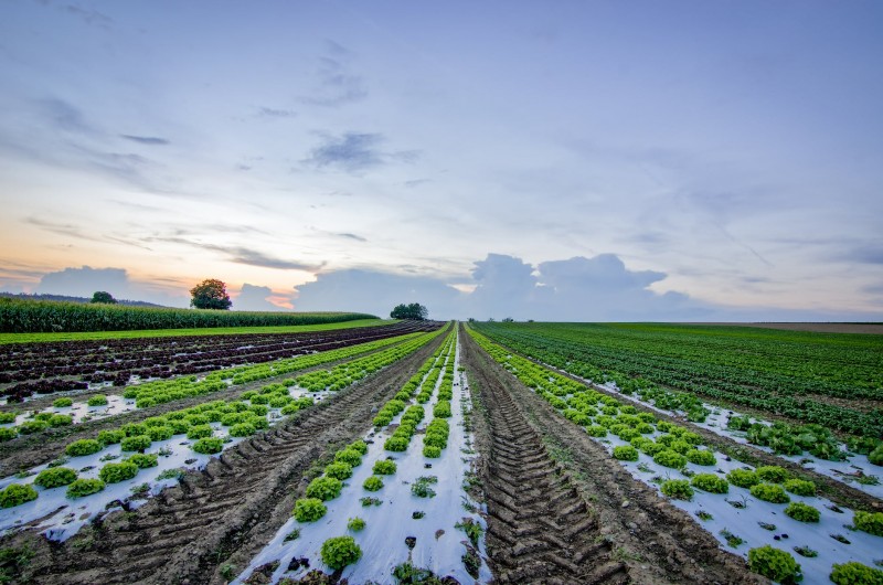 Demi Agritourism Farm