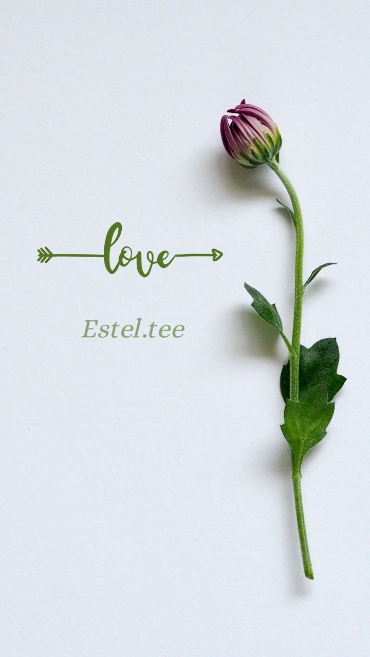 Estel Tee