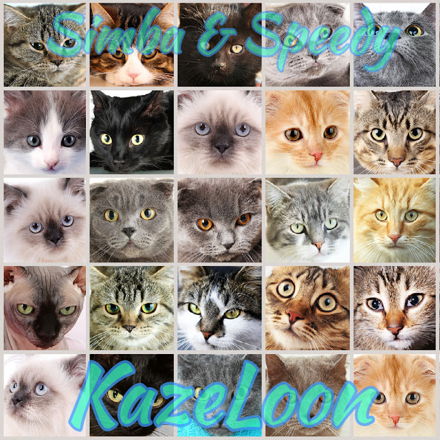 KazeLoon Records
