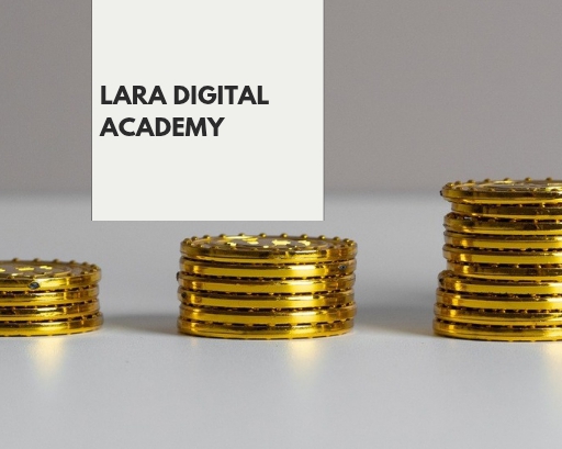 Lara Digital Academy