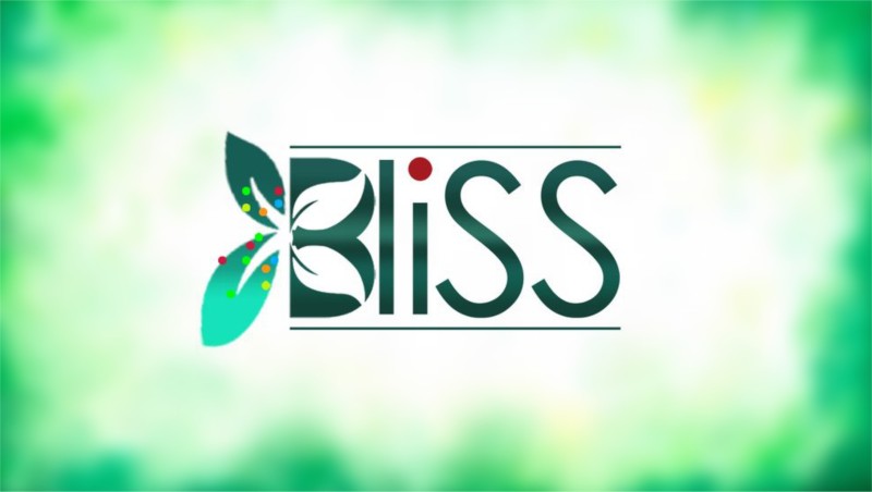 Life of Bliss Services