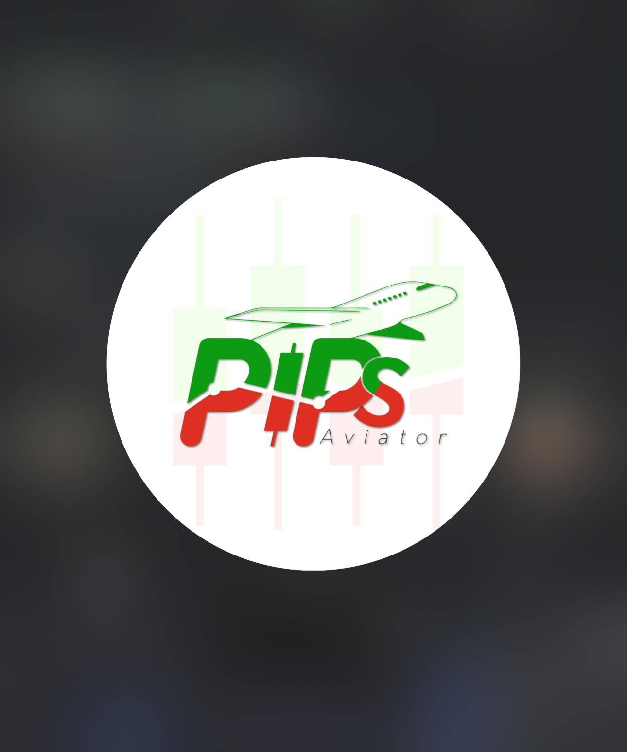 pipsaviatoracademy