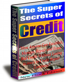 Ebook financial guide in online business