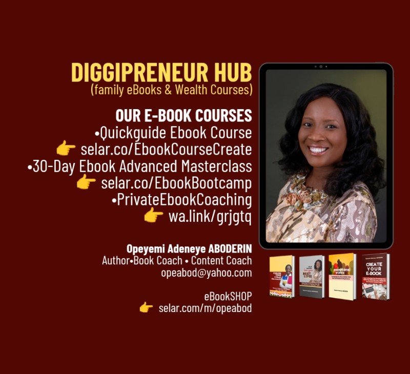 Opeyemi Adeneye ABODERIN - Diggipreneur Hub
