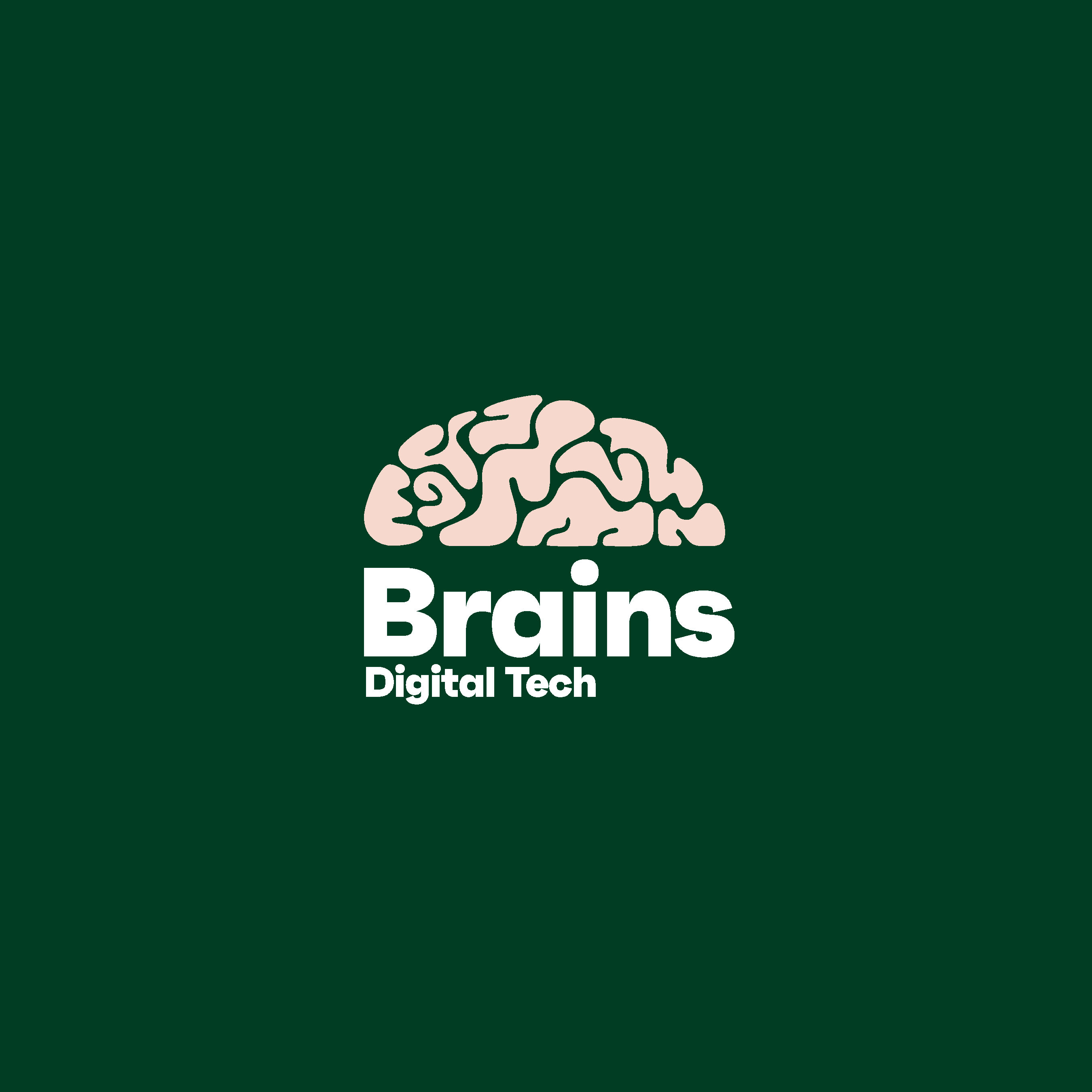 Brains Digital Technology