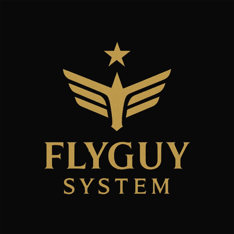 FlyGuy System