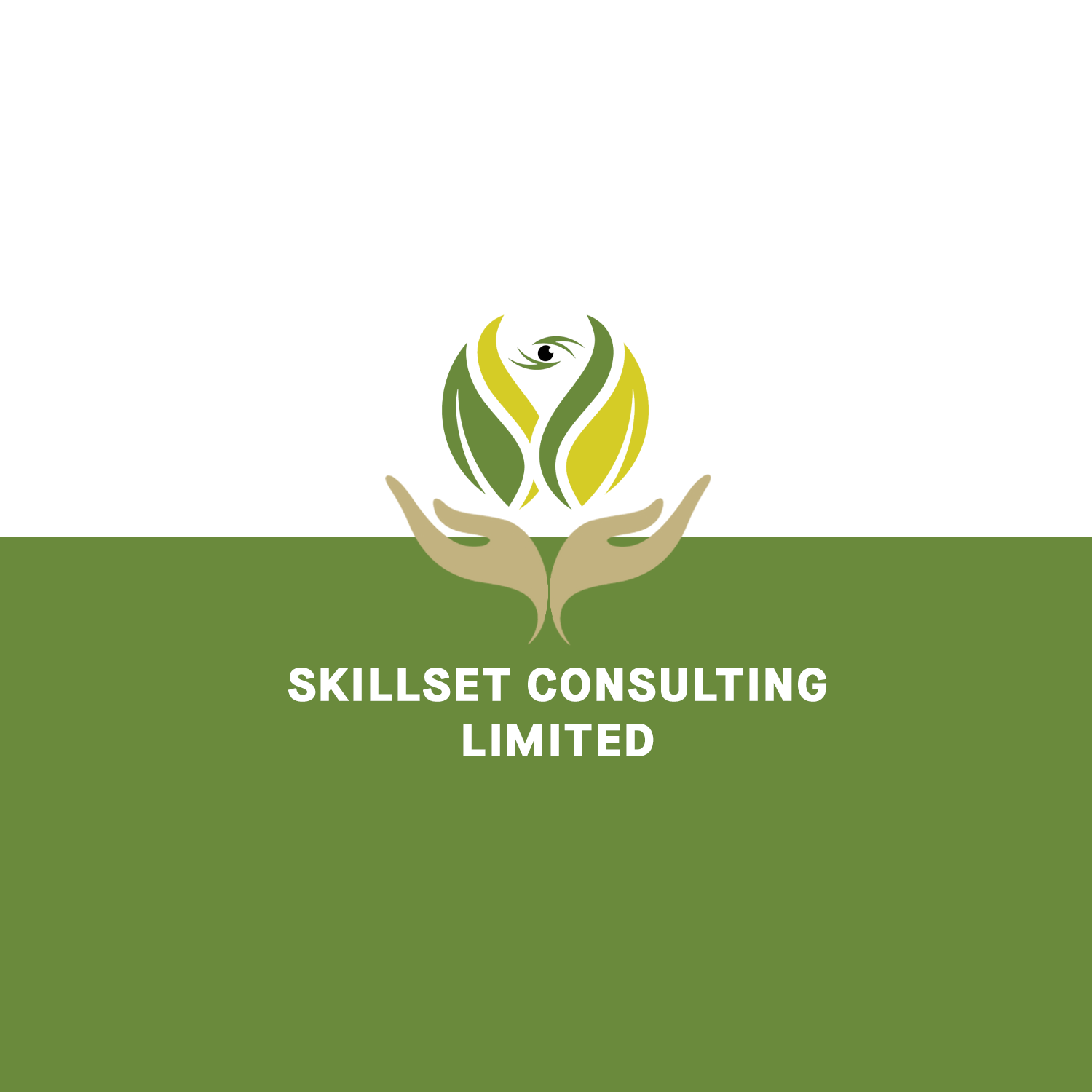 Skillset Consulting