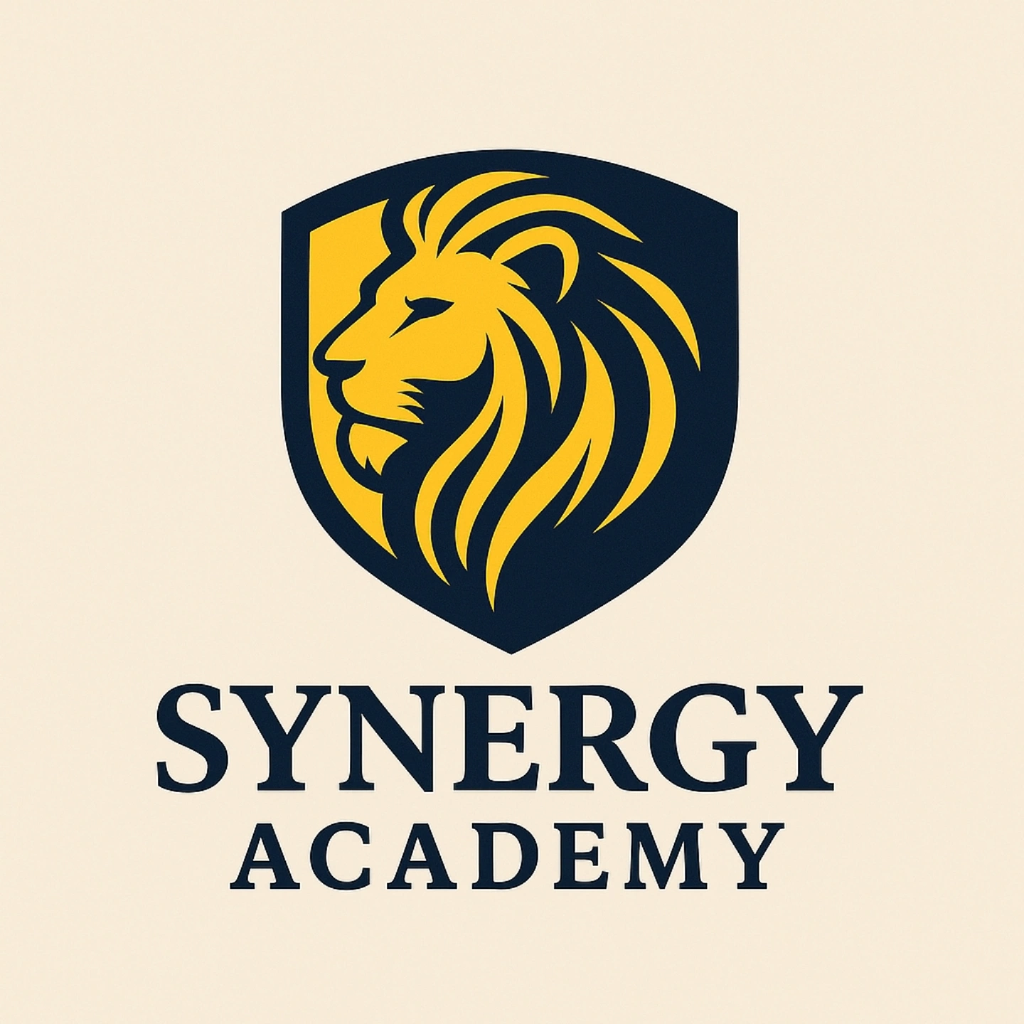Synergy Academy
