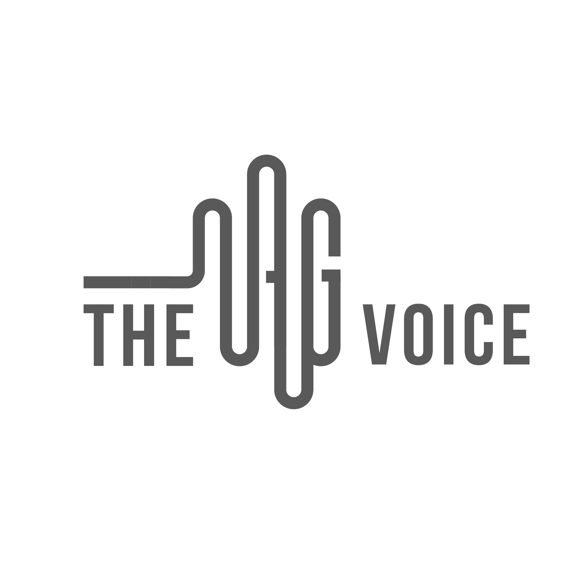 theAGvoice