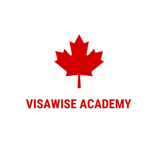 VisaWise Academy