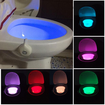 Toilet bowl motion light