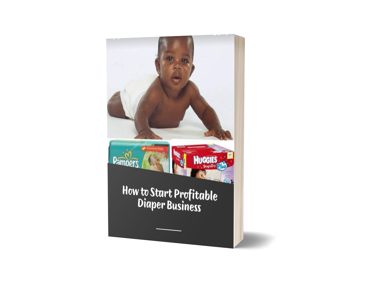 Buy How to Start Profitable Baby Diaper Business in Nigeria by Dantosh