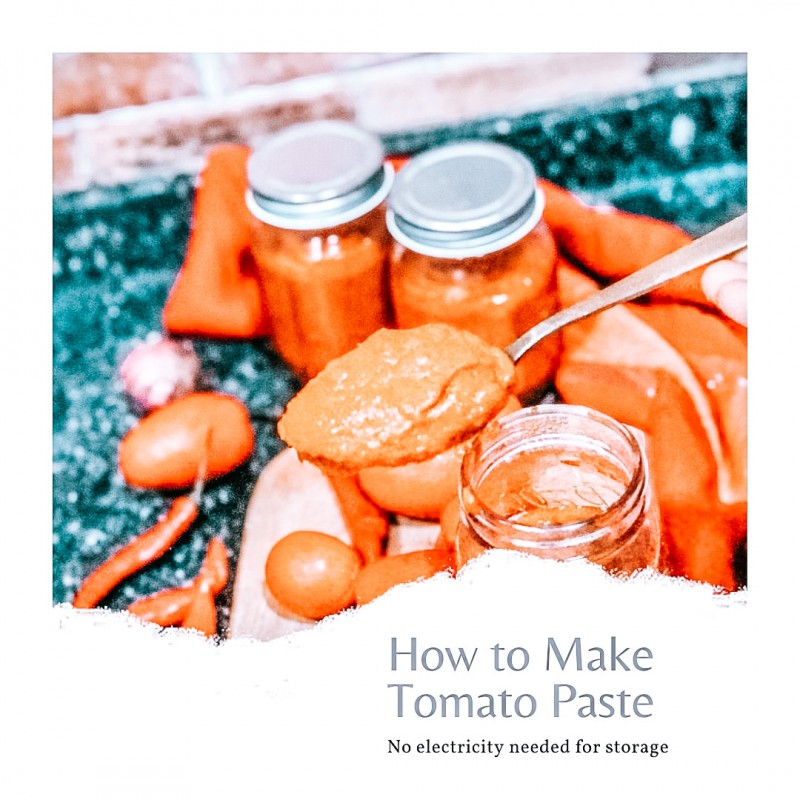 Tomato Paste Making Class (Video Tutorial & Manual)