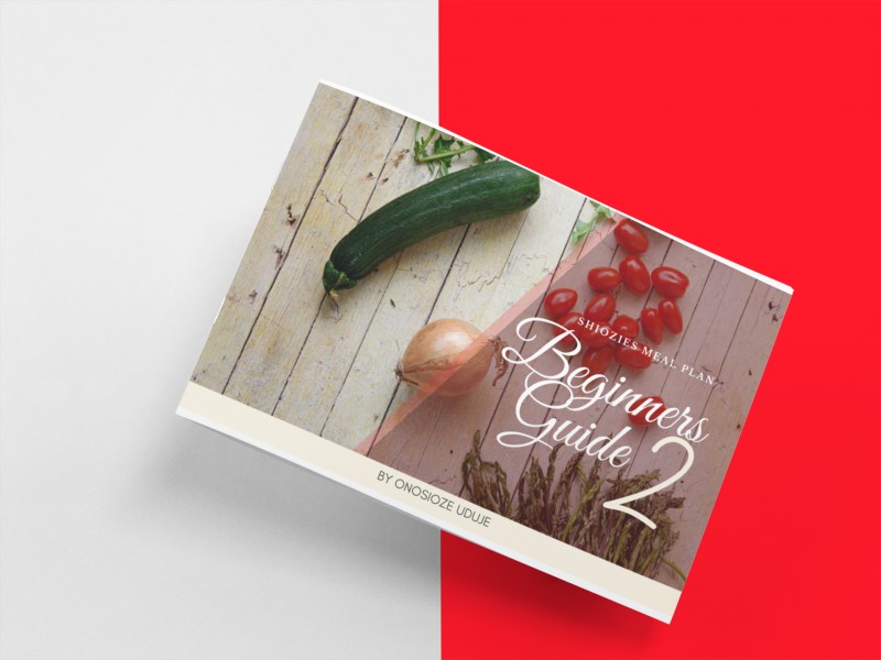 SHIOZIE'S MEAL PLAN BEGINNER RECIPE BOOK2