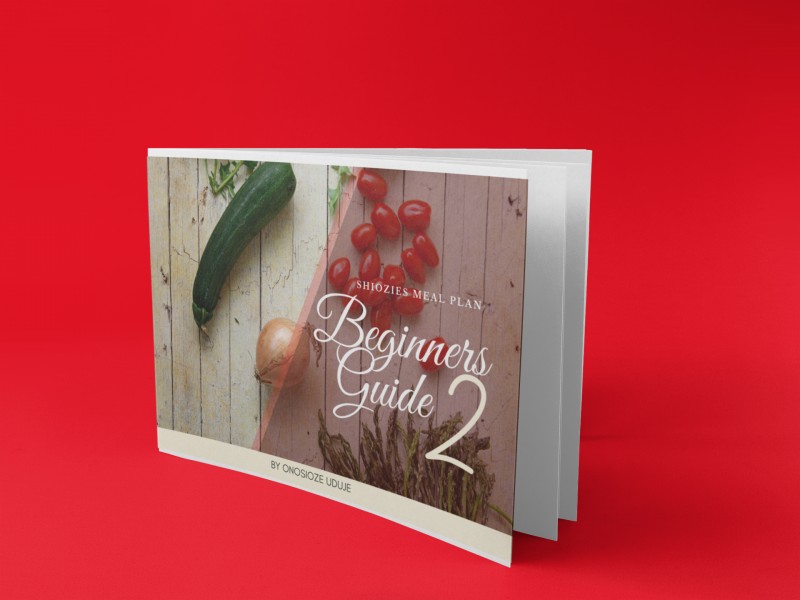 SHIOZIE'S MEAL PLAN BEGINNER RECIPE BOOK2