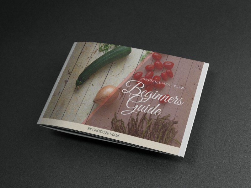 SHIOZIE'S MEAL PLAN BEGINNER RECIPE BOOK