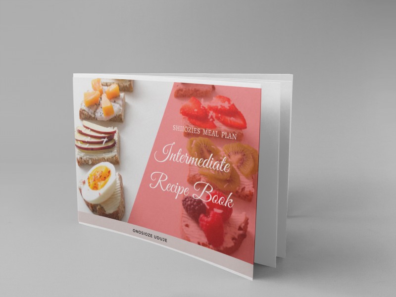SHIOZIE'S MEAL PLAN INTERMEDIATE RECIPE BOOK