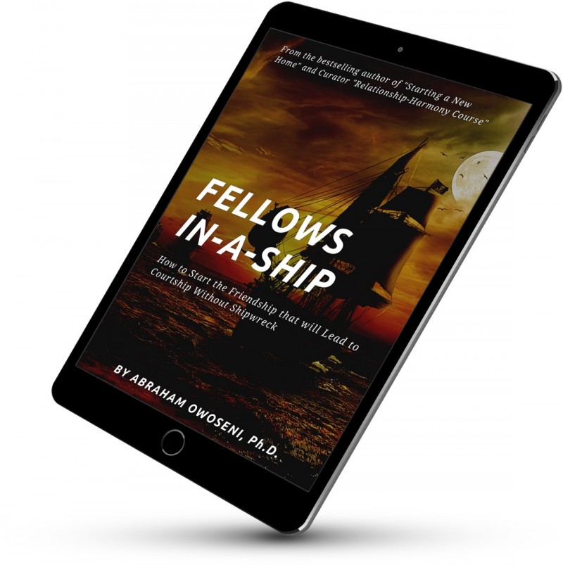 Fellows-in-a-Ship [eBook] by Dr. Abraham Owoseni