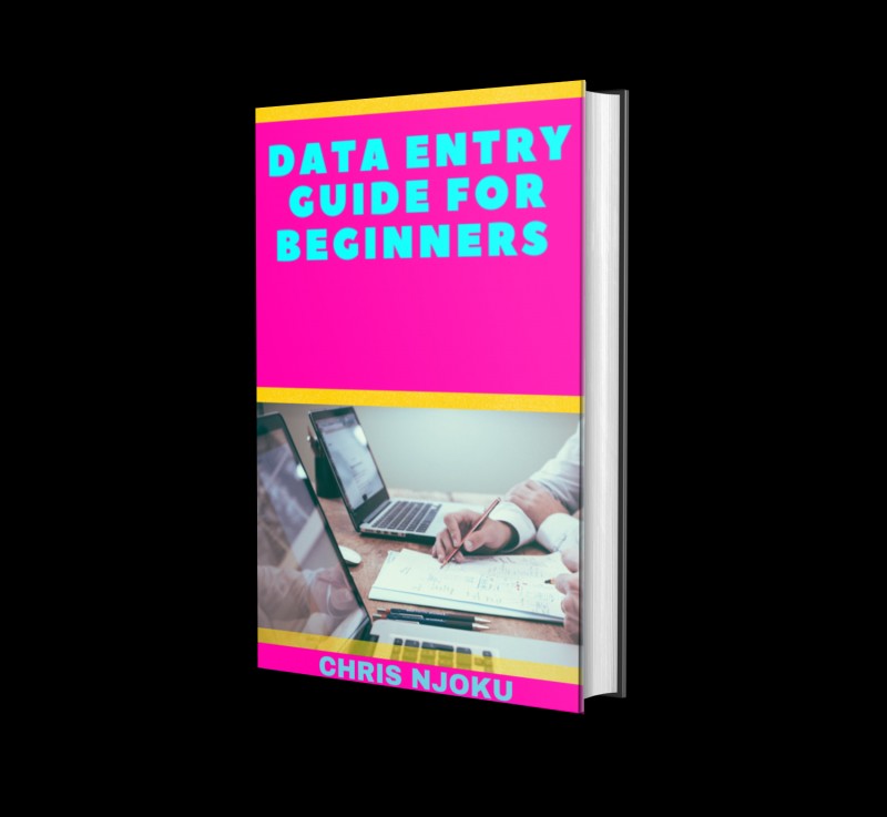 Buy Data Entry Guide For Beginners by Chris Njoku on Selar