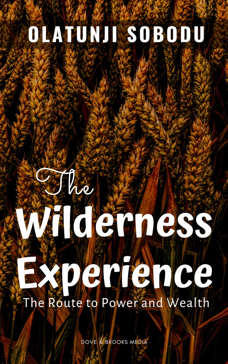 THE WILDERNESS EXPERIENCE