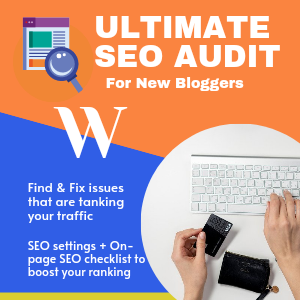 Website SEO Audit & Settings