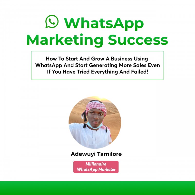 WhatsApp Marketing Success