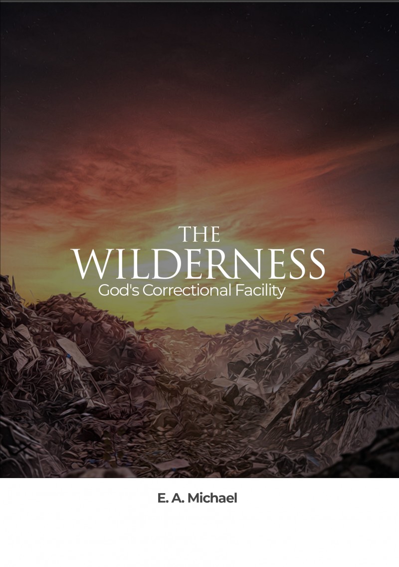 The Wilderness: God's Correctional Facility