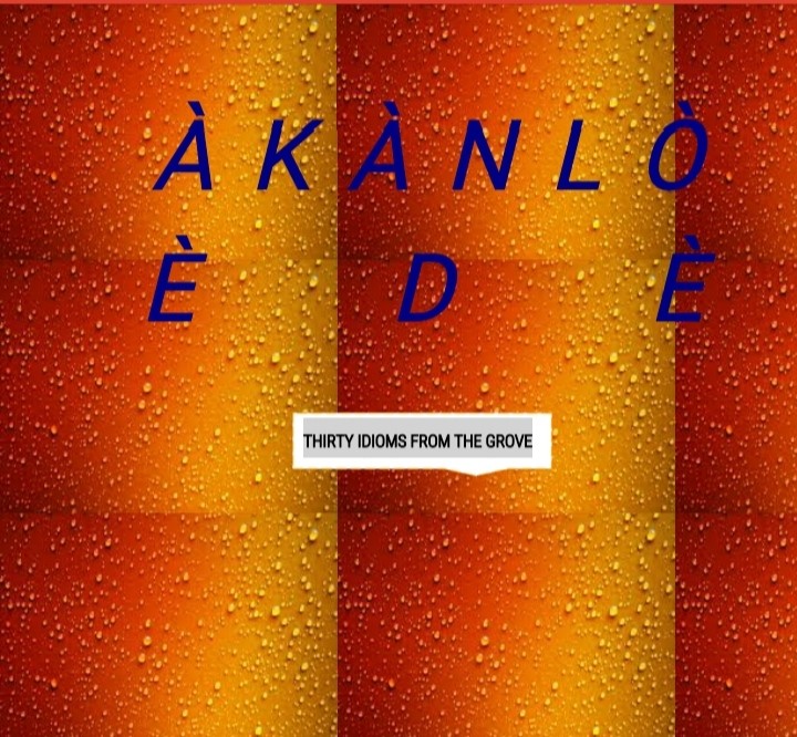 ÀKÀNLÒ ÈDÈ: 30 IDIOMS FROM THE GROVE