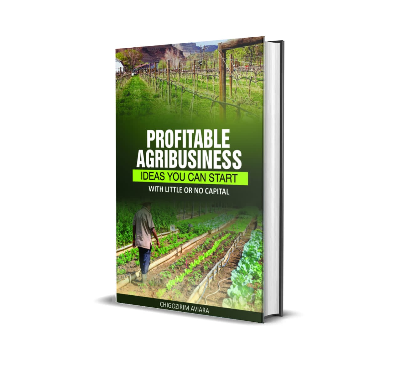 Buy Profitable Agribusiness Ideas You Can Start With Little or No ...