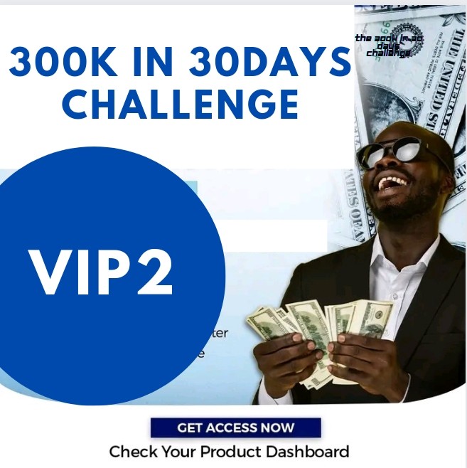 300k in 30 days challenge vIP2