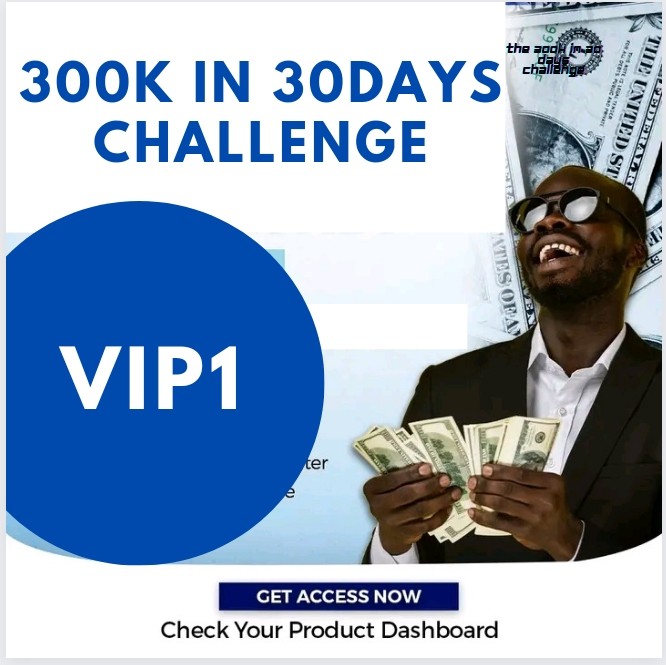 300k in 30days challenge VIP 1