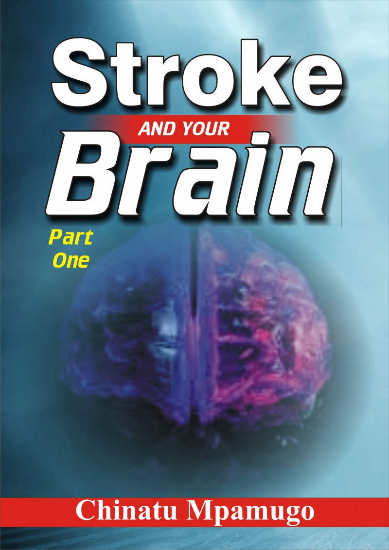 Stroke And Your Brain: Eleven Regions That Should Matter To You. Part One