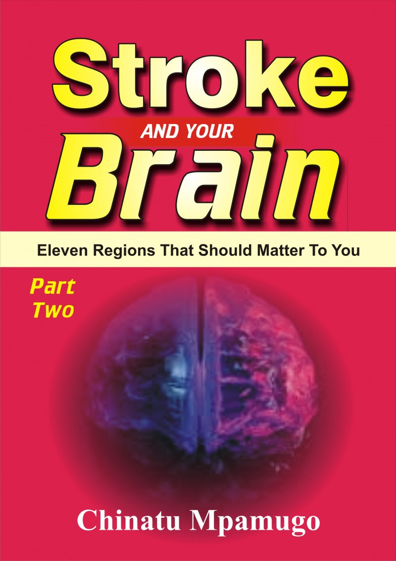 Stroke And Your Brain: Eleven Regions That Should Matter To You. Part Two