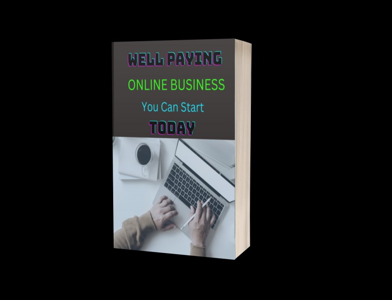 WELL PAYING ONLINE BUUSINESS YOU CAN START TODAY