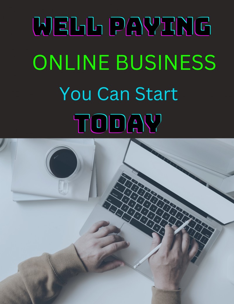 WELL PAYING ONLINE BUUSINESS YOU CAN START TODAY