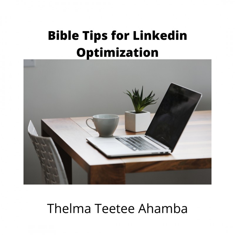 Bible Tips for LinkedIn Optimization
