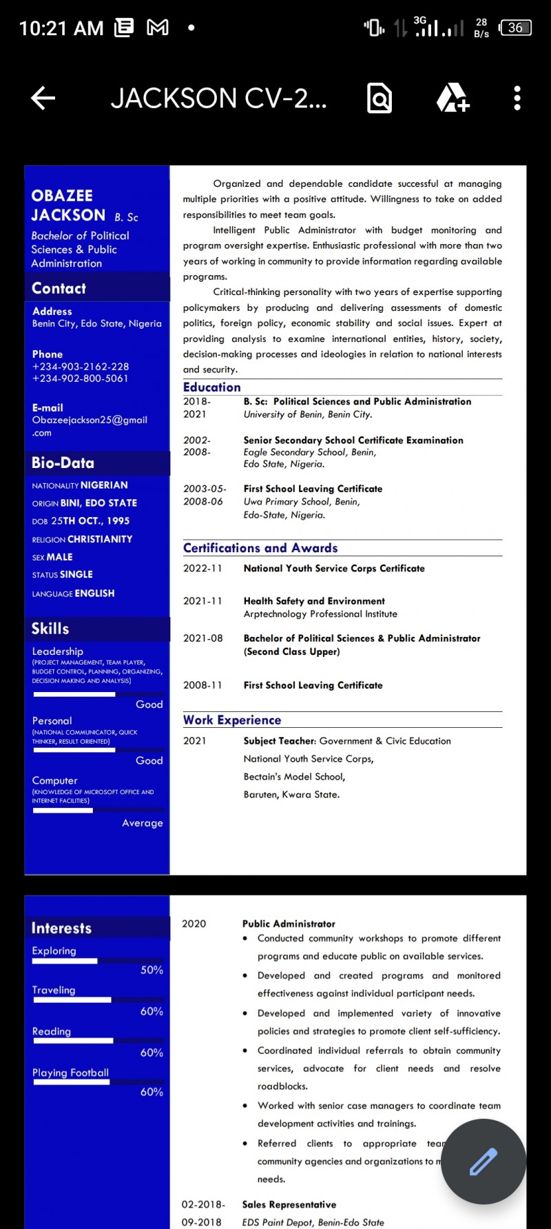 Professional CV/RESUME